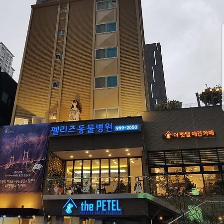 The Petel Premium Suite Busan Exterior photo