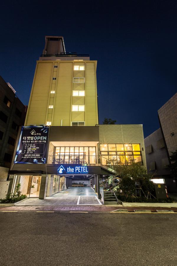 The Petel Premium Suite Busan Exterior photo