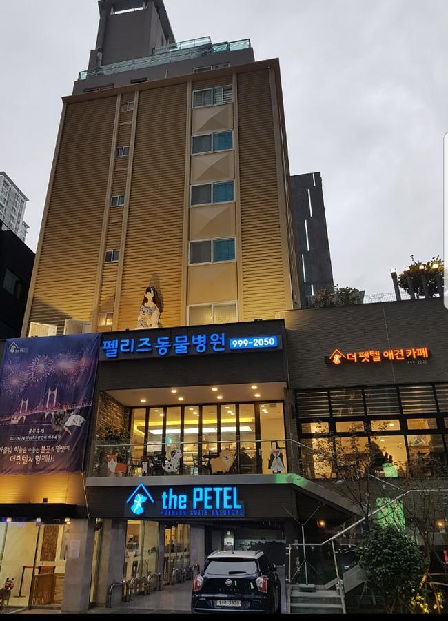 The Petel Premium Suite Busan Exterior photo